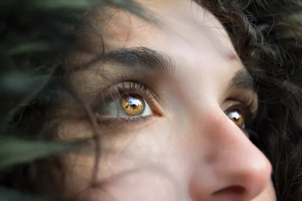An eye wide open through the leaves.