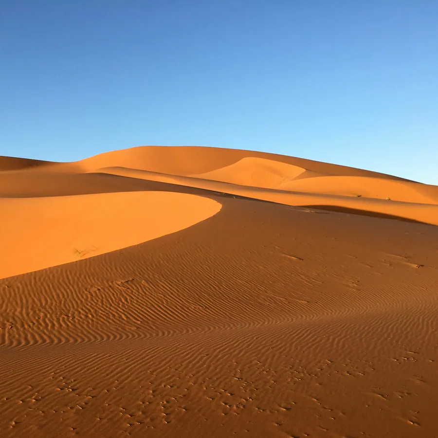 The desert in full daylight — a counter-environment that interrupts habitual patterns.