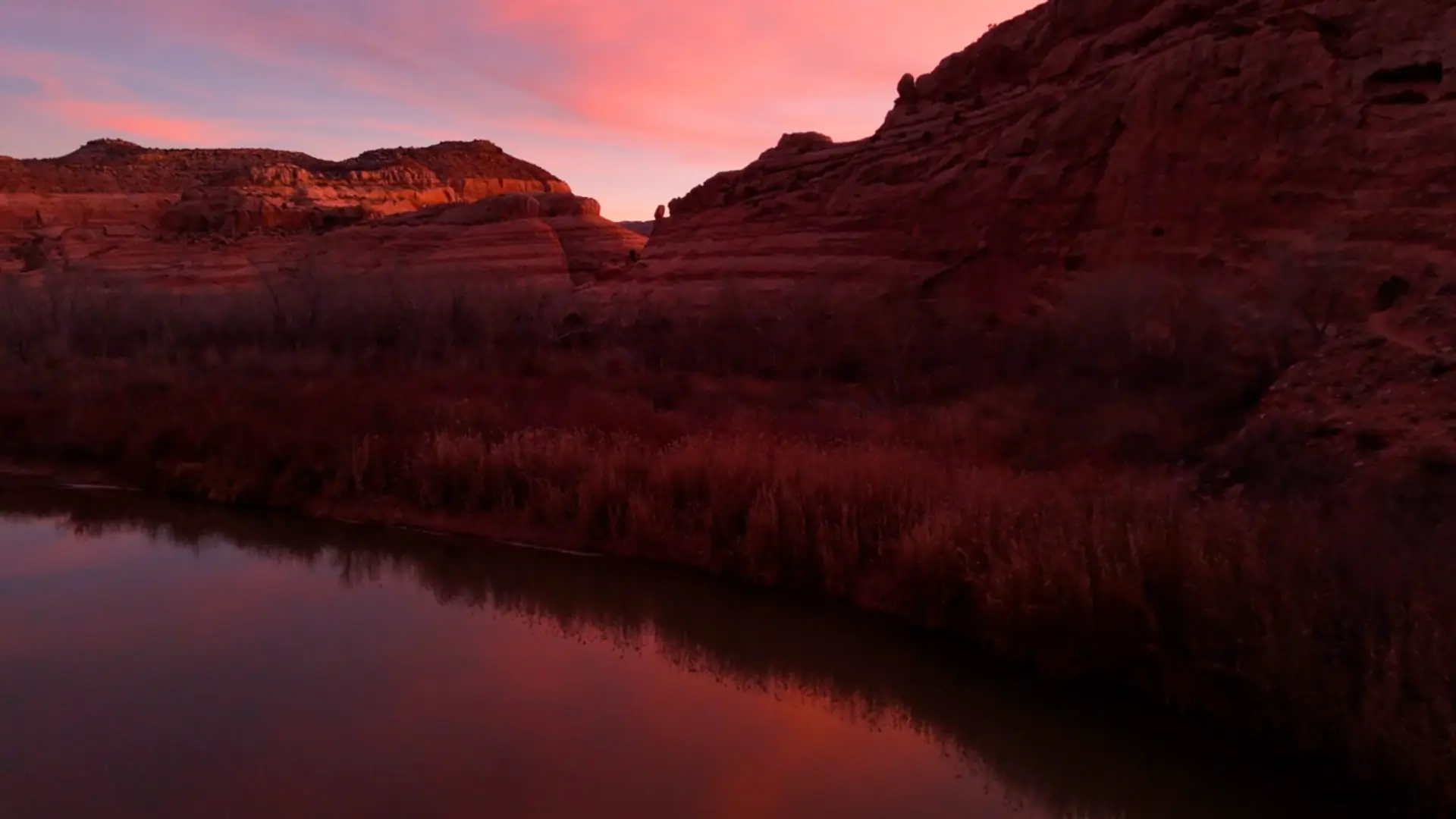 One human, small inside a monumental living system, at dawn.