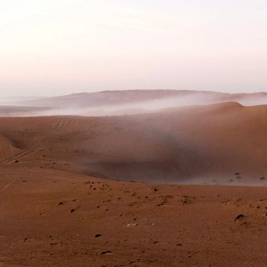 The dunes of the Wahiba Sands at dusk.